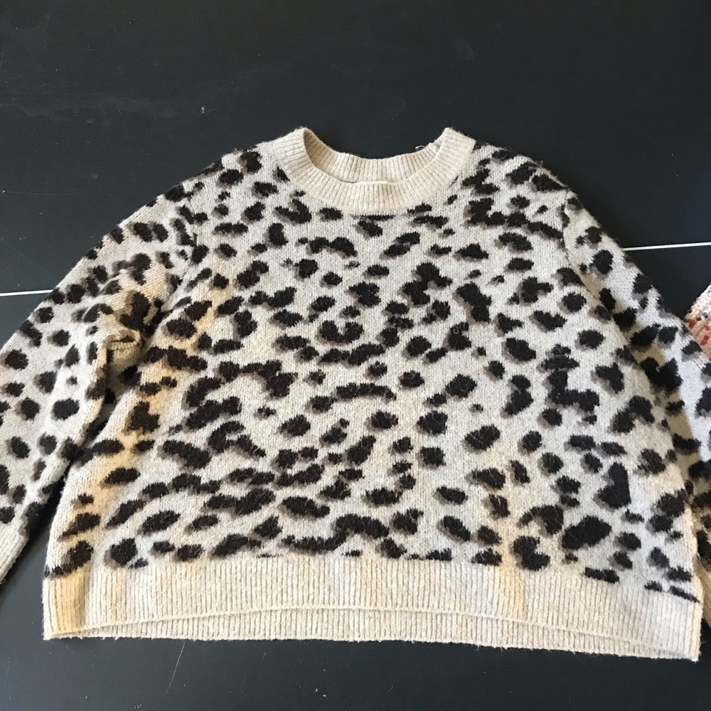 h and m cheetah sweater